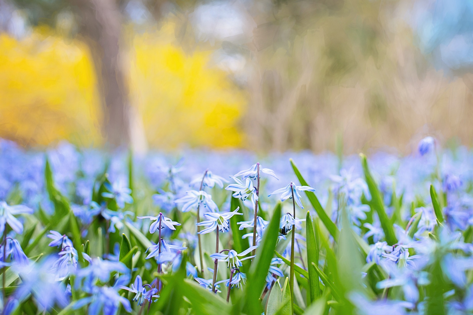 March Tips Of The Month