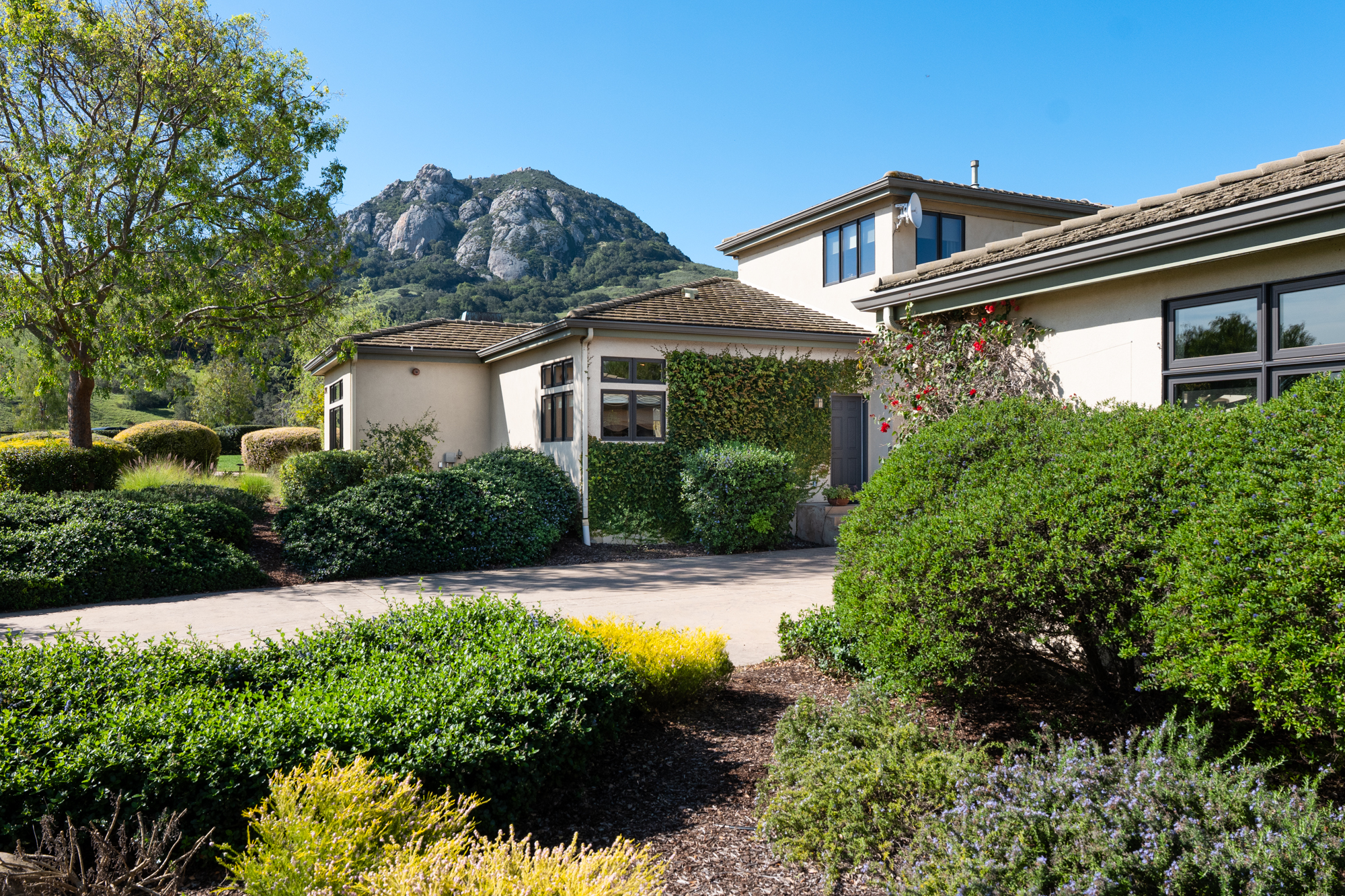 1350 Mail Pouch WEB-37