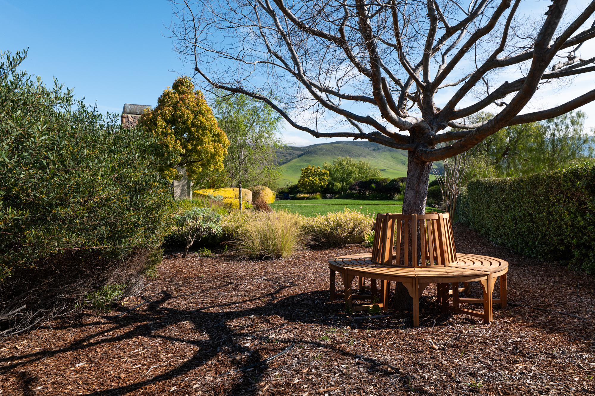 1350 Mail Pouch WEB-50