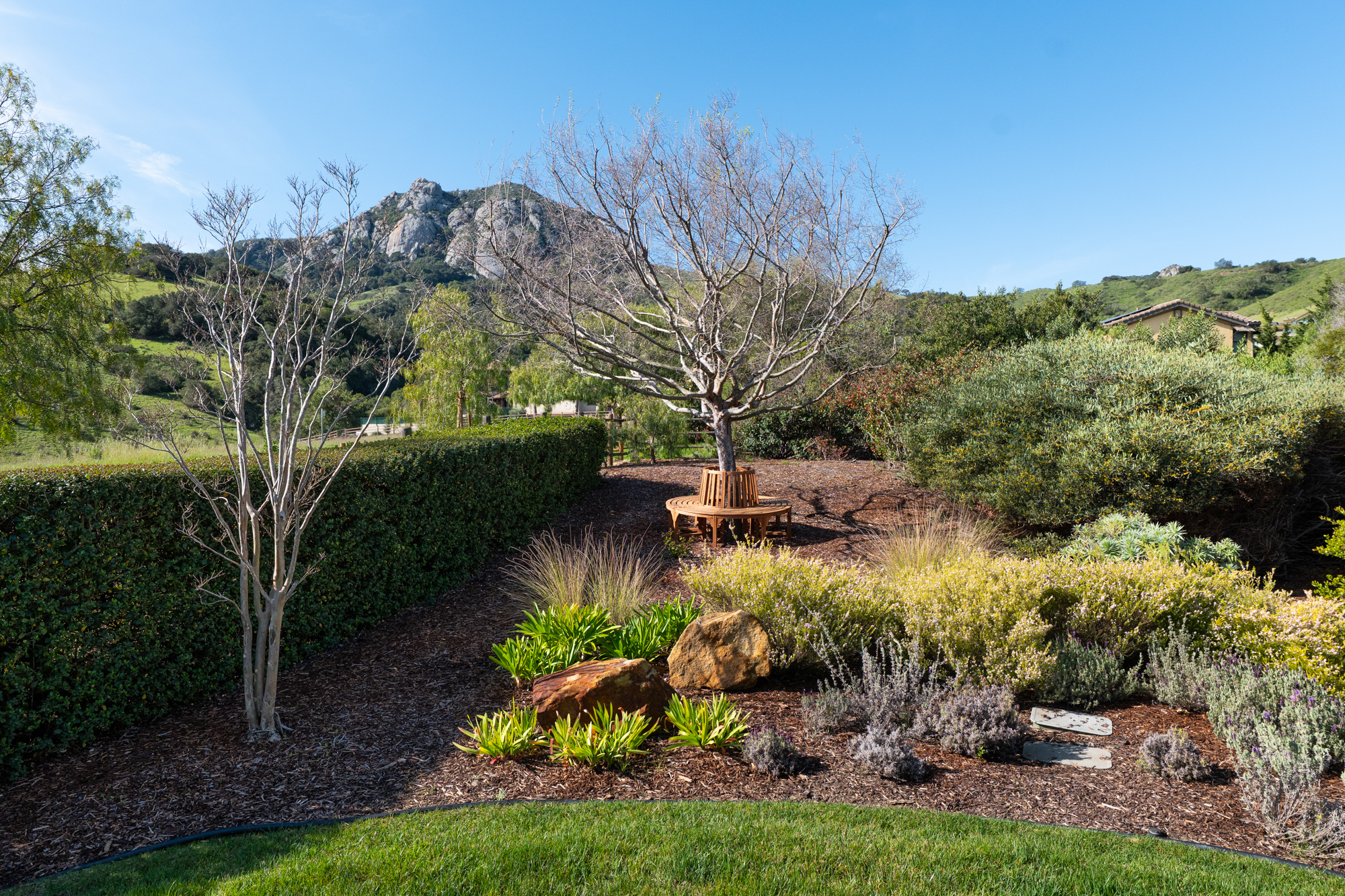 1350 Mail Pouch WEB-51