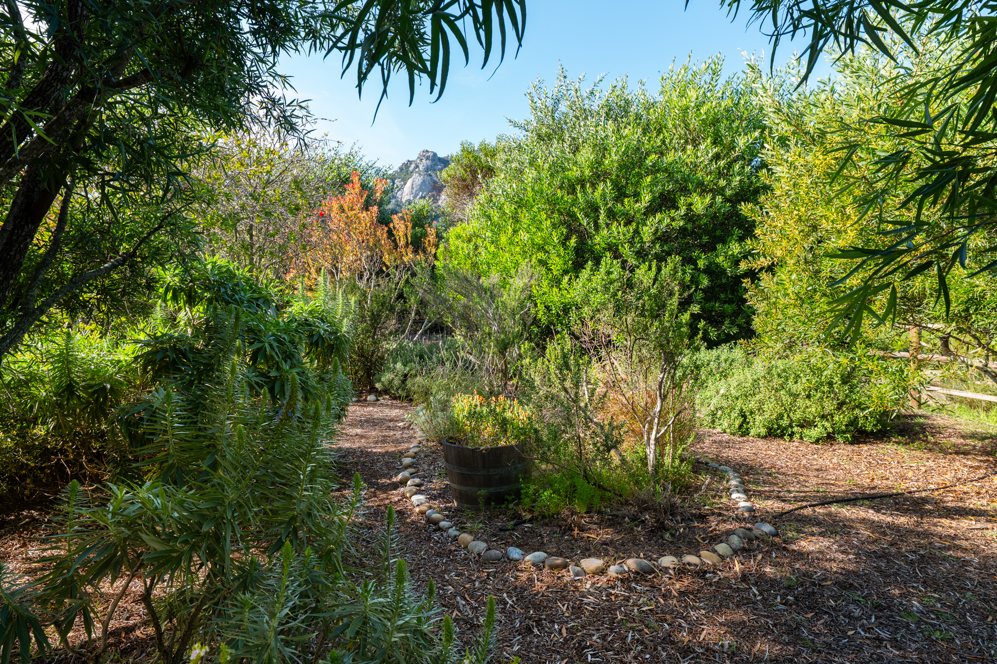 1350 Mail Pouch WEB-55