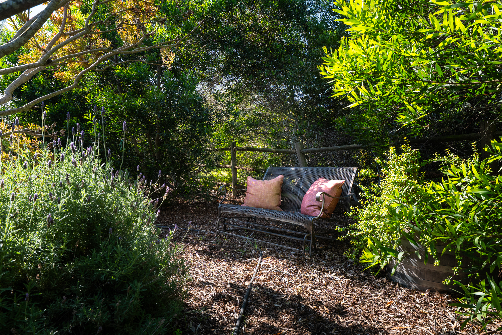 1350 Mail Pouch WEB-56