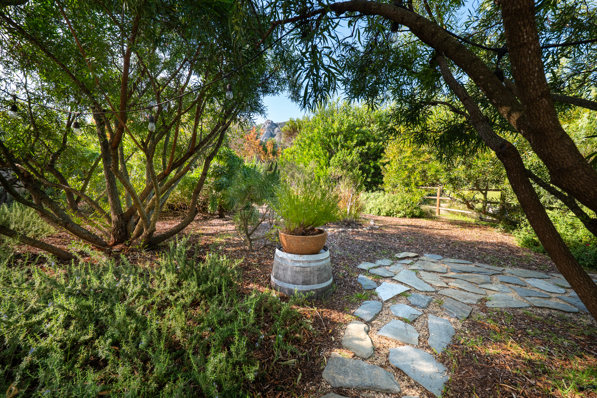 1350 Mail Pouch WEB-58