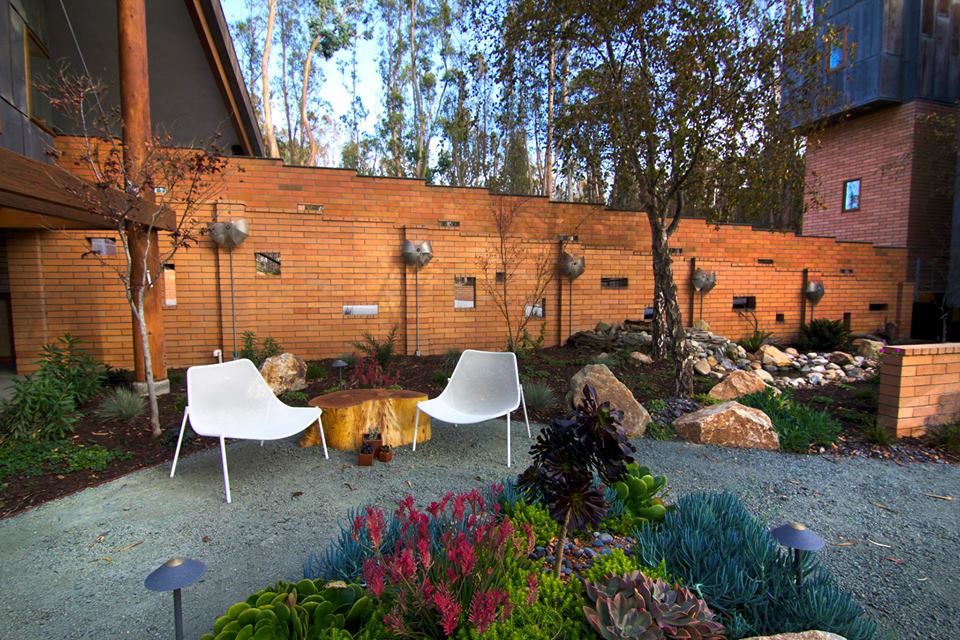 1459250 367841830019784 1337030511 n