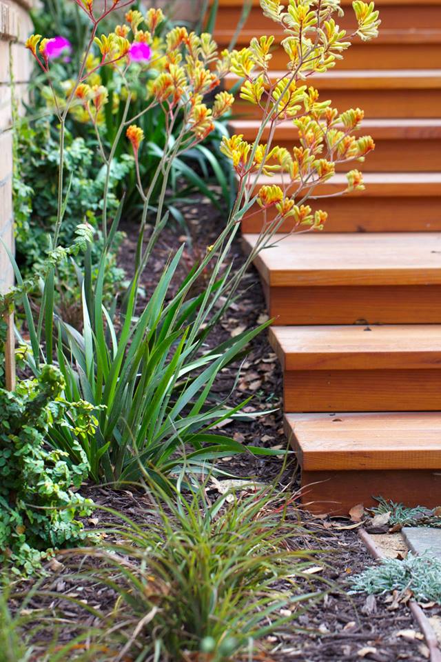 1463634 367842440019723 2069890881 n