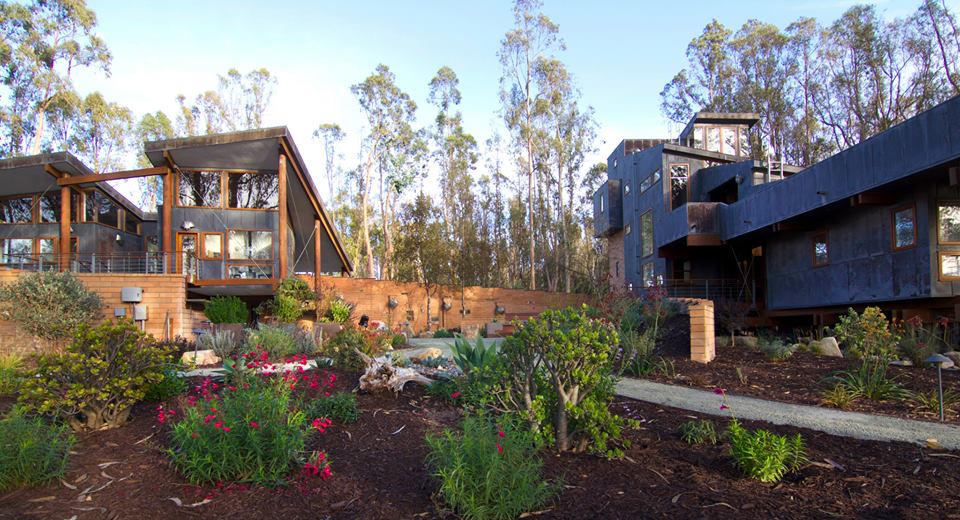 plantings on shredded bark with walkway surrounded by large home