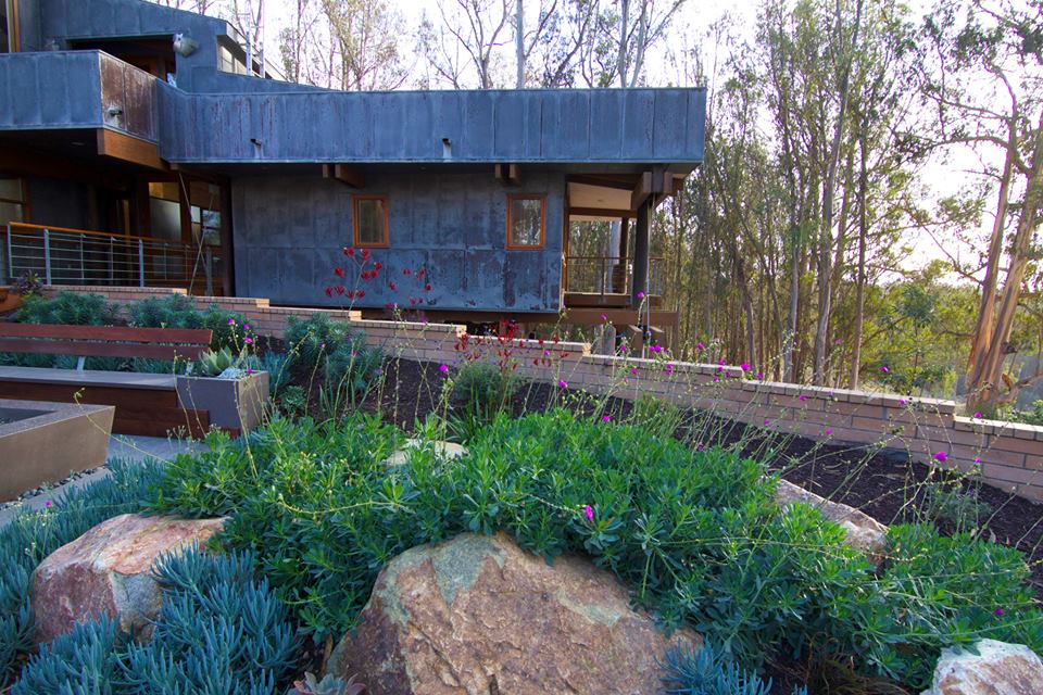 969254 367883243348976 1488711176 n