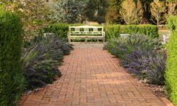 March Tips of the Month