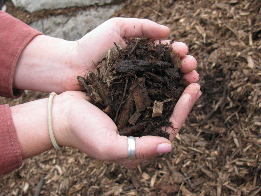 This image has an empty alt attribute; its file name is Arbor-Mulch-1024x768.jpg