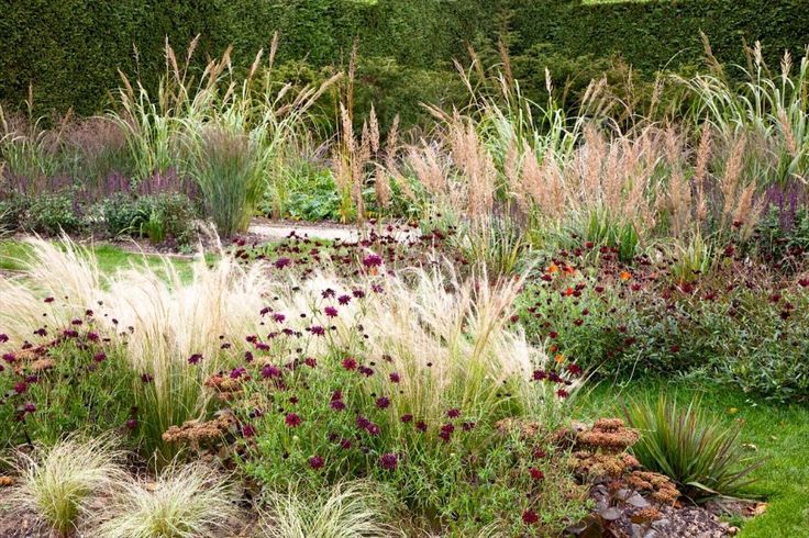 Halloween Bouquet: The Plants You’ll Need