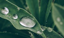 December Tips of the Month