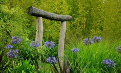 July Tips of the Month