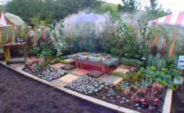 2003 Garden Festival 1st Place