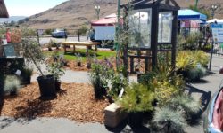 Fall Home & Garden Expo and display